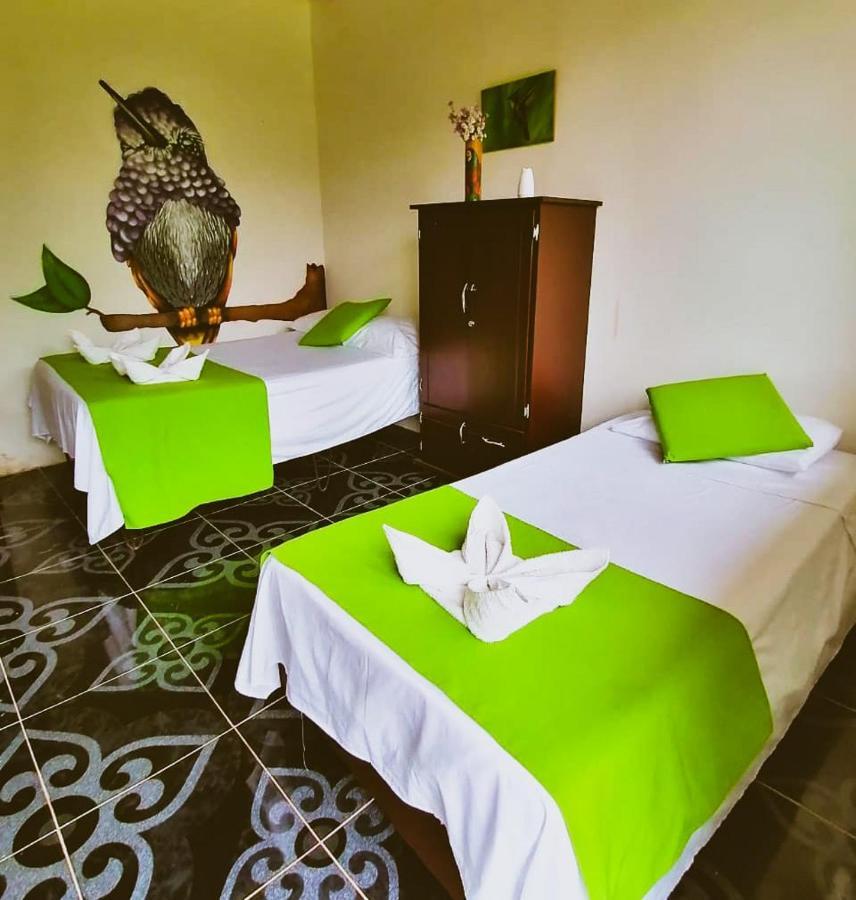 Ecohotel Colibri Salento Luna Park Exterior foto
