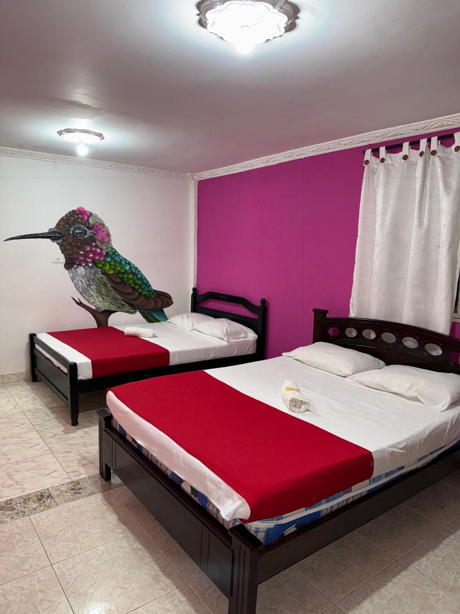Ecohotel Colibri Salento Luna Park Exterior foto